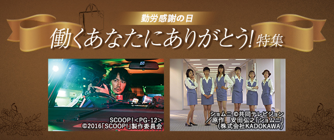 勤労感謝の日 働くあなたにありがとう！