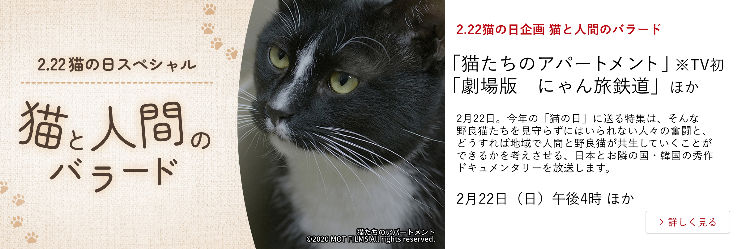 2.22猫の日企画 猫と人間のバラード「猫たちのアパートメント」 ※TV初 「劇場版 にゃん旅鉄道」 ほか 2月22日。今年の「猫の日」に送る特集は、そんな野良猫たちを見守らずにはいられない人々の奮闘と、どうすれば地域で人間と野良猫が共生していくことができるかを考えさせる、日本とお隣の国・韓国の秀作ドキュメンタリーを放送します。 2月22日(日)午後4時 ほか