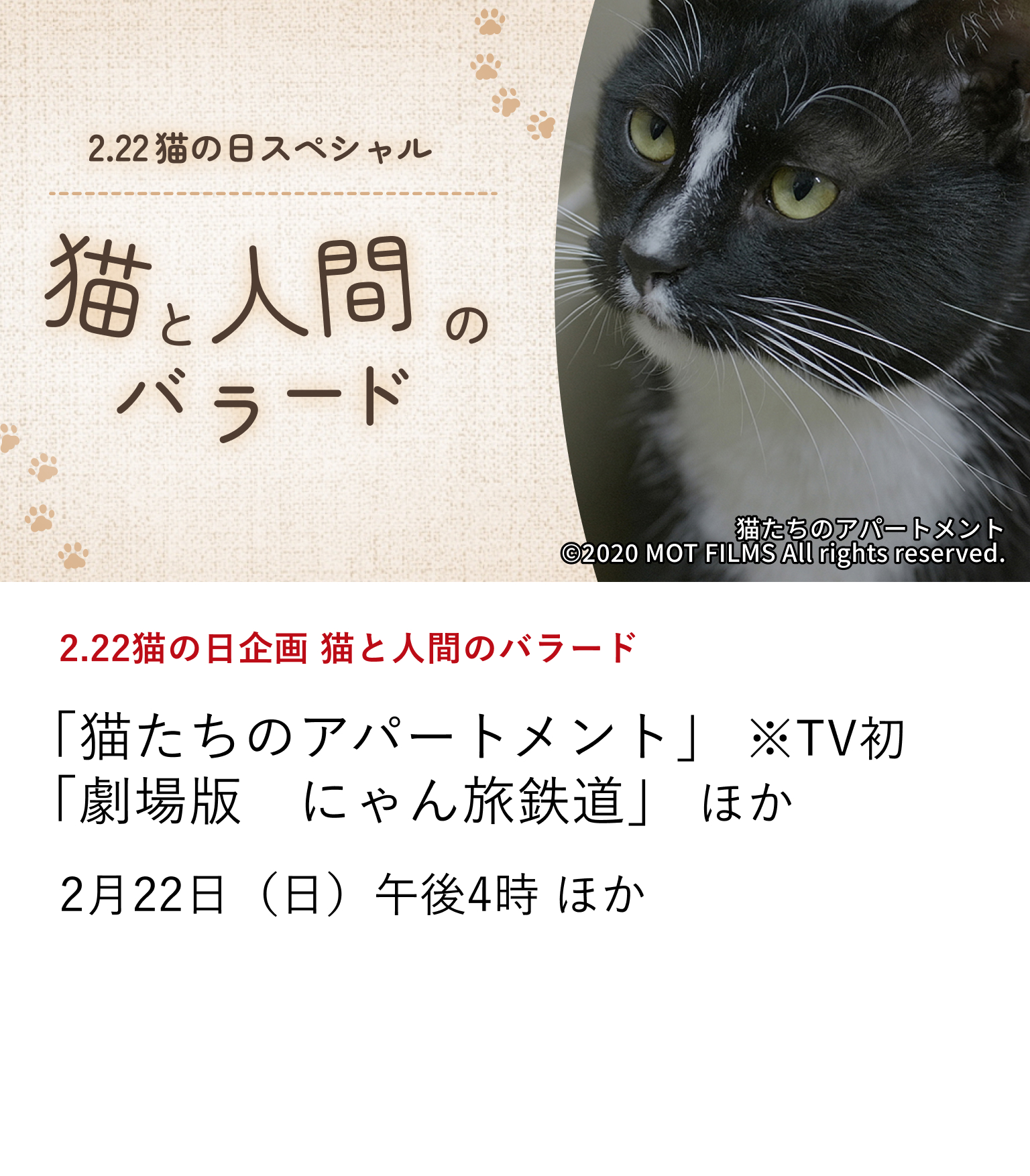 2.22猫の日企画 猫と人間のバラード「猫たちのアパートメント」 ※TV初 「劇場版 にゃん旅鉄道」 ほか 2月22日。今年の「猫の日」に送る特集は、そんな野良猫たちを見守らずにはいられない人々の奮闘と、どうすれば地域で人間と野良猫が共生していくことができるかを考えさせる、日本とお隣の国・韓国の秀作ドキュメンタリーを放送します。 2月22日(日)午後4時 ほか