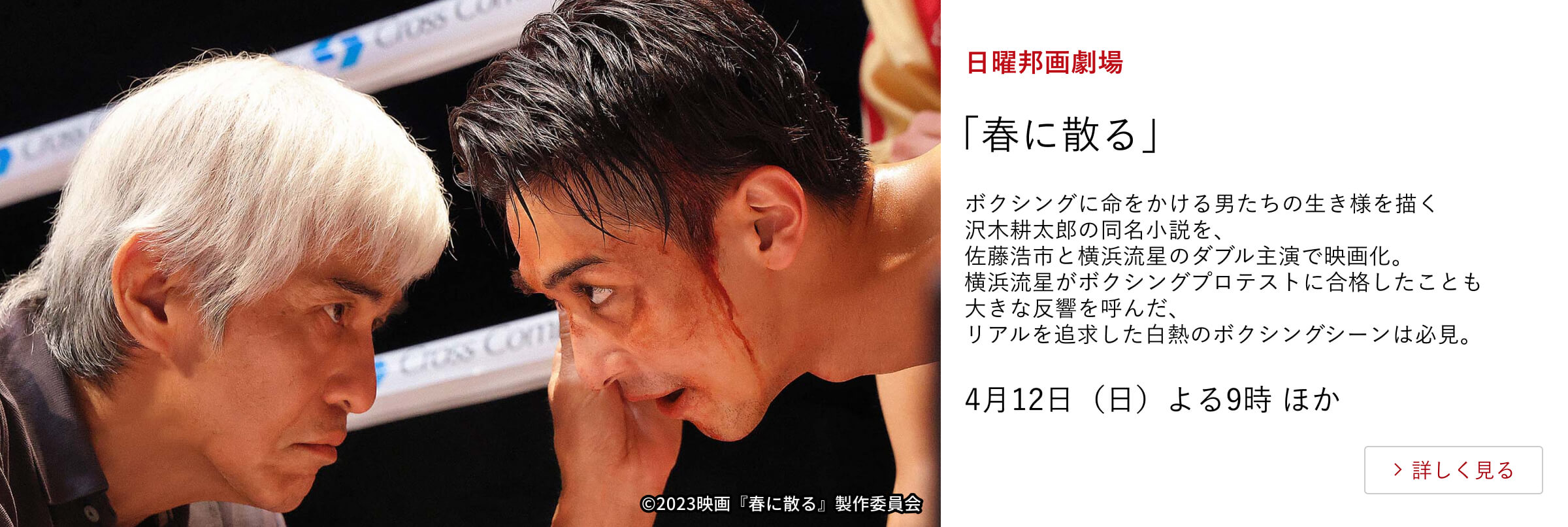日曜邦画劇場 「春に散る」 ボクシングに命をかける男たちの生き様を描く沢木耕太郎の同名小説を、 佐藤浩市と横浜流星のダブル主演で映画化。 横浜流星がボクシングプロテストに合格したことも大きな反響を呼んだ、 リアルを追求した白熱のボクシングシーンは必見。 4月12日（日）よる9時 ほか