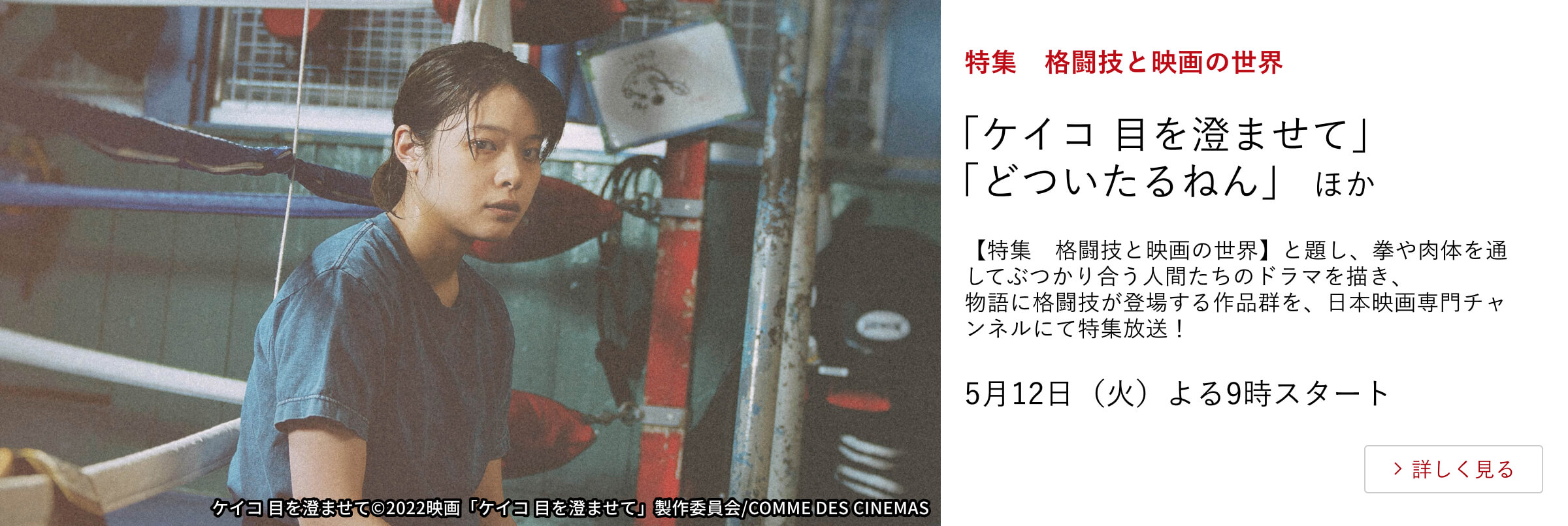 特集　格闘技と映画の世界 「ケイコ 目を澄ませて」 「どついたるねん」 ほか 【特集　格闘技と映画の世界】と題し、拳や肉体を通してぶつかり合う人間たちのドラマを描き、 物語に格闘技が登場する作品群を、日本映画専門チャンネルにて特集放送！ 5月12日（火）よる9時スタート
