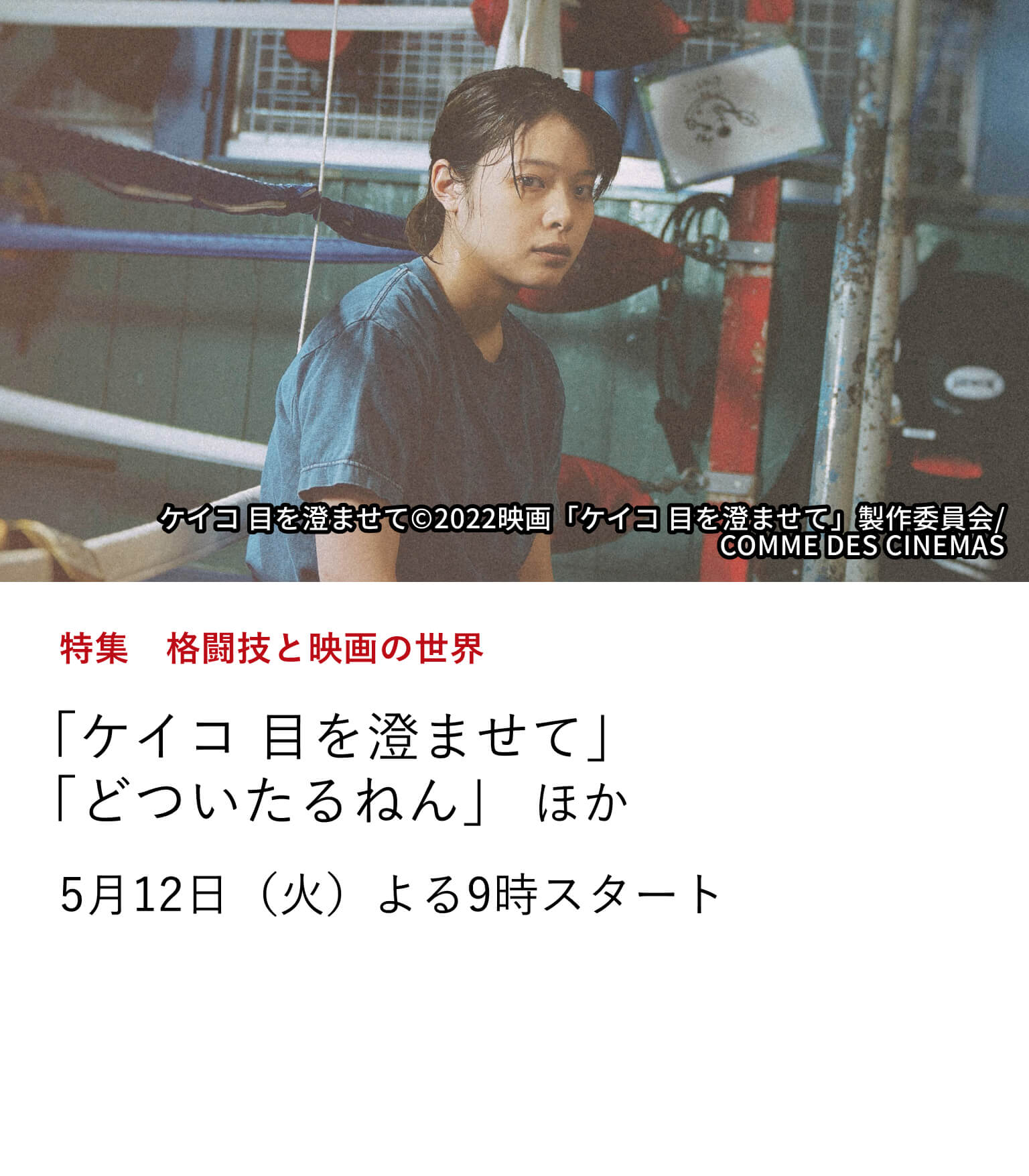 特集　格闘技と映画の世界 「ケイコ 目を澄ませて」 「どついたるねん」 ほか 【特集　格闘技と映画の世界】と題し、拳や肉体を通してぶつかり合う人間たちのドラマを描き、 物語に格闘技が登場する作品群を、日本映画専門チャンネルにて特集放送！ 5月12日（火）よる9時スタート