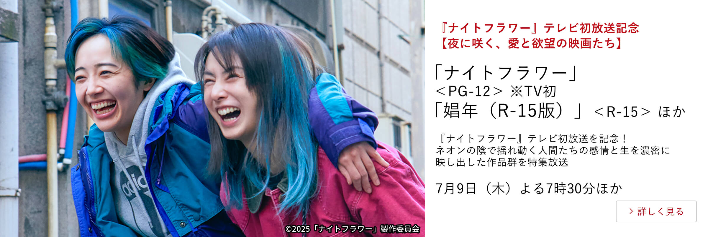 『ナイトフラワー』テレビ初放送記念　【夜に咲く、愛と欲望の映画たち】「ナイトフラワー」＜PG-12＞ ※TV初 「娼年（R-15版）」＜R-15＞ ほか 『ナイトフラワー』テレビ初放送を記念！ ネオンの陰で揺れ動く人間たちの感情と生を濃密に映し出した作品群を特集放送 7月9日（木）よる7時30分ほか