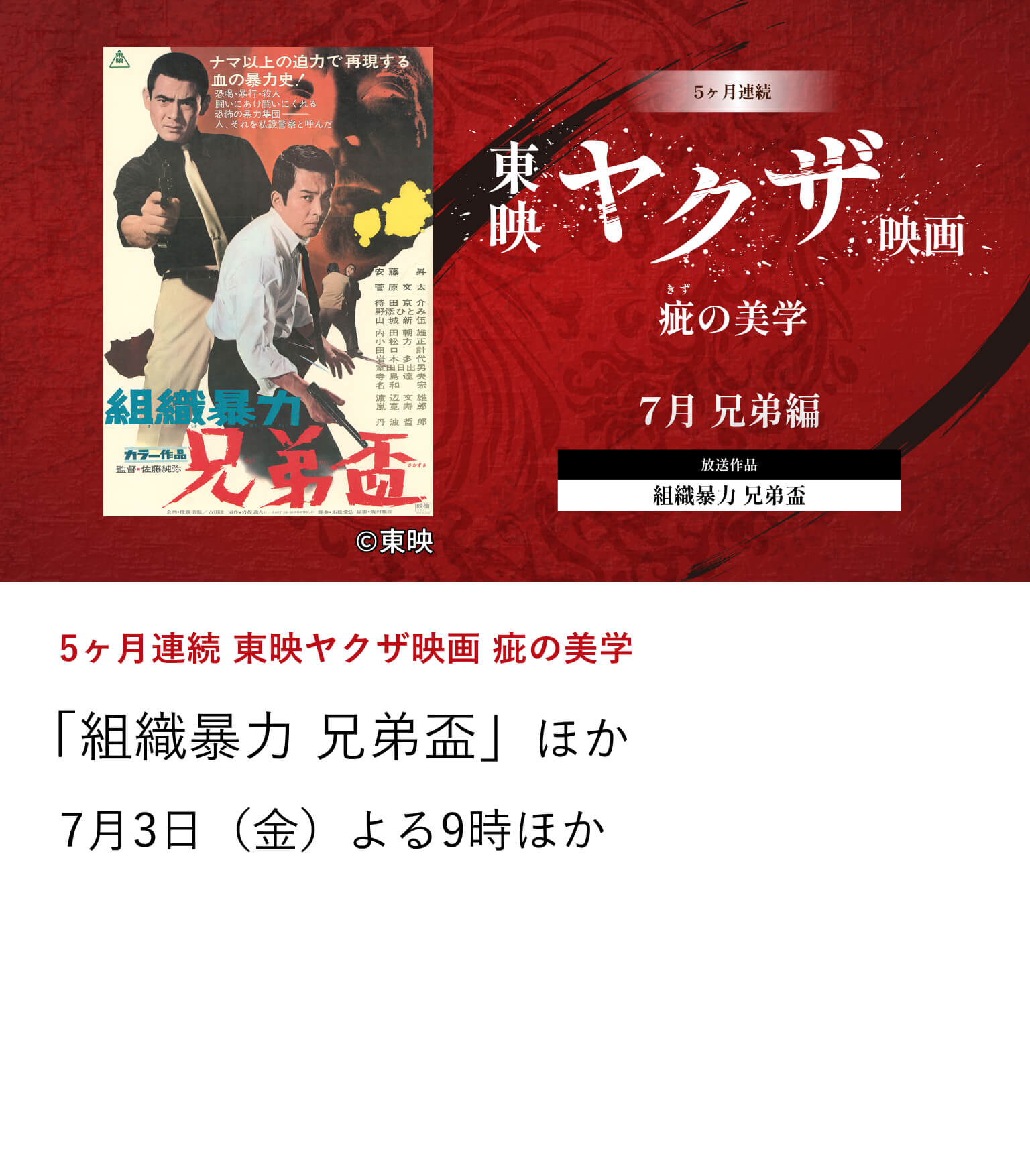 5ヶ月連続 東映ヤクザ映画 疵の美学 「組織暴力 兄弟盃」ほか 6月から10月にかけて、東映ヤクザ映画の骨格を形作ってきたテーマに焦点を当て、その変遷を刻んだ名作を特集放送。7月3日（金）よる9時ほか