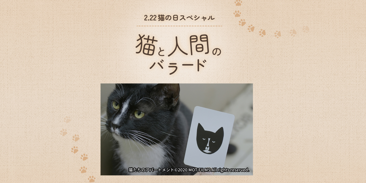 2.22猫の日企画 猫と人間のバラード｜日本映画・邦画を見るなら日本