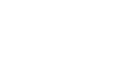 11月
