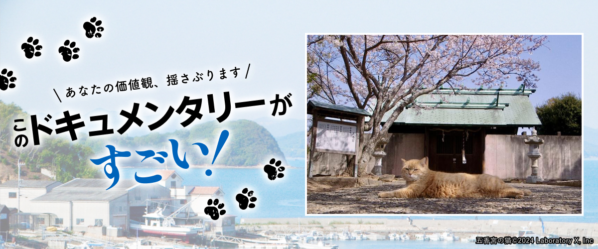 このドキュメンタリーがすごい！