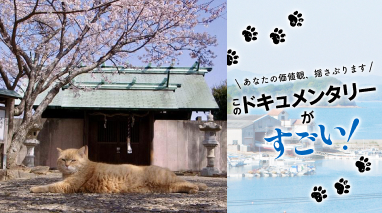 このドキュメンタリーがすごい！