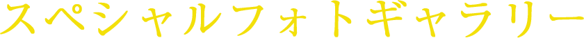 スペシャルフォトギャラリー