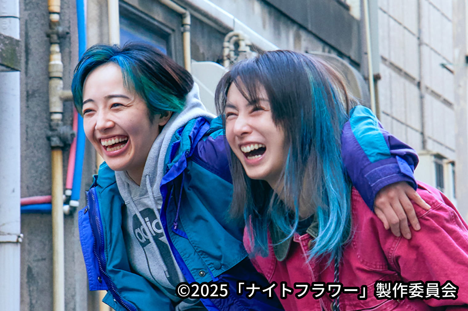 ナイトフラワー＜PG-12＞