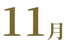 11月