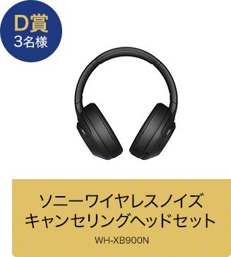 D賞 3名様 ソニーワイヤレスノイズキャンセリングヘッドセット WH-XB900N