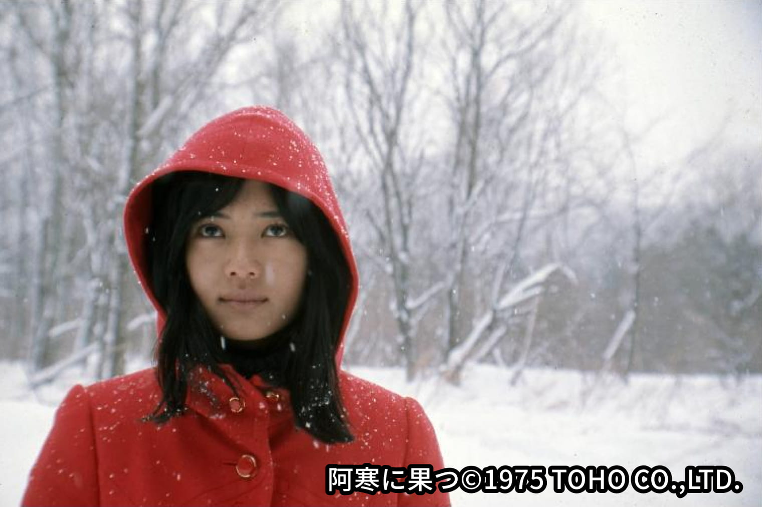 ＜昭和・満100年＞忘れえぬ青春のヒロインたち