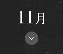 11月