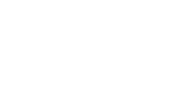 11月